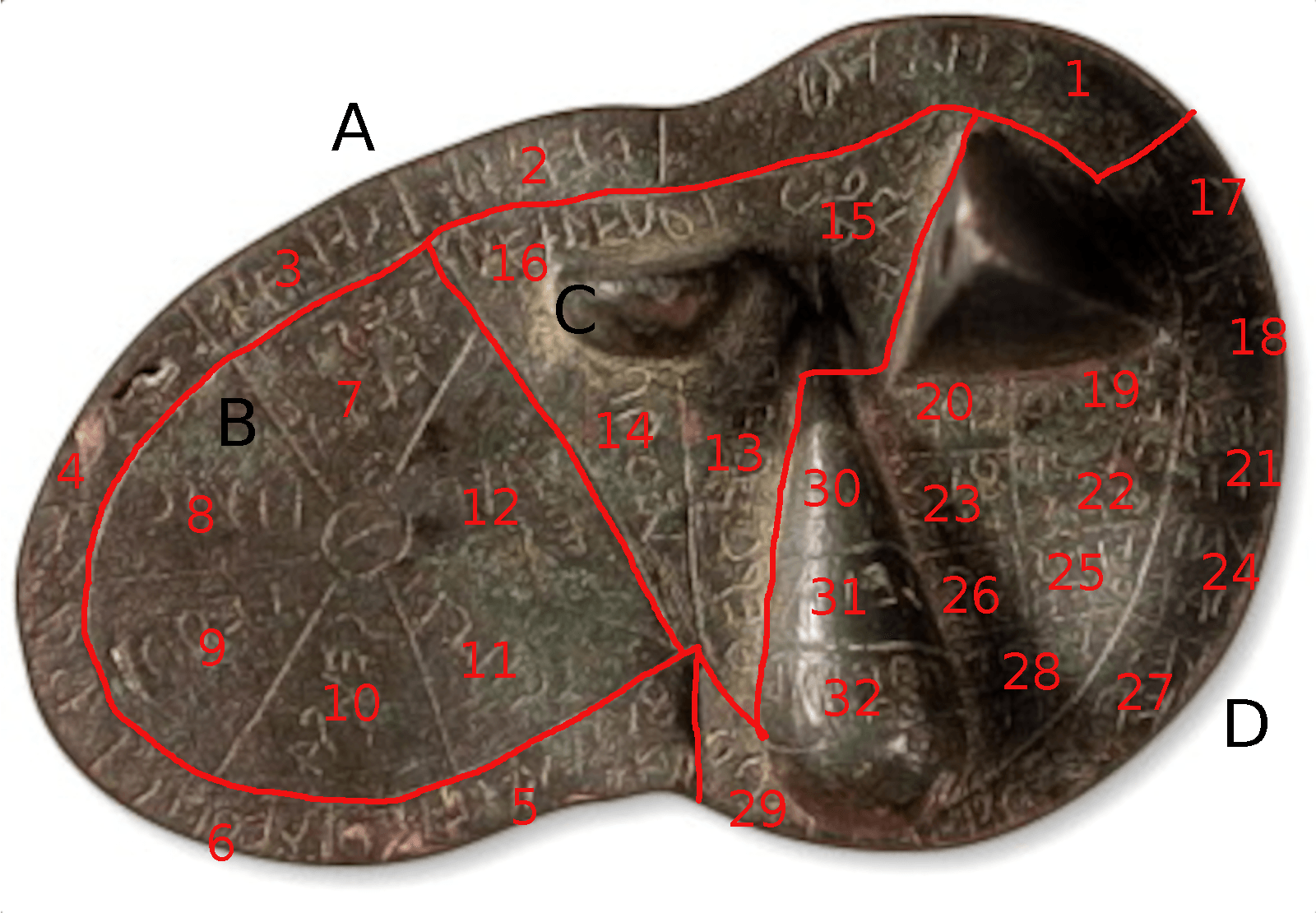 Translation of Bronze Etruscan Piacenza Liver Reveals Liver Divination ...