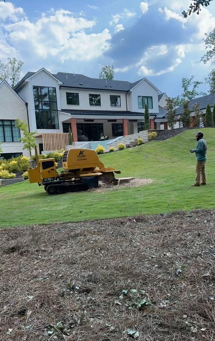 A yellow stump grinder cuts into a tree stump in a yard, creating a pile of wood chips.