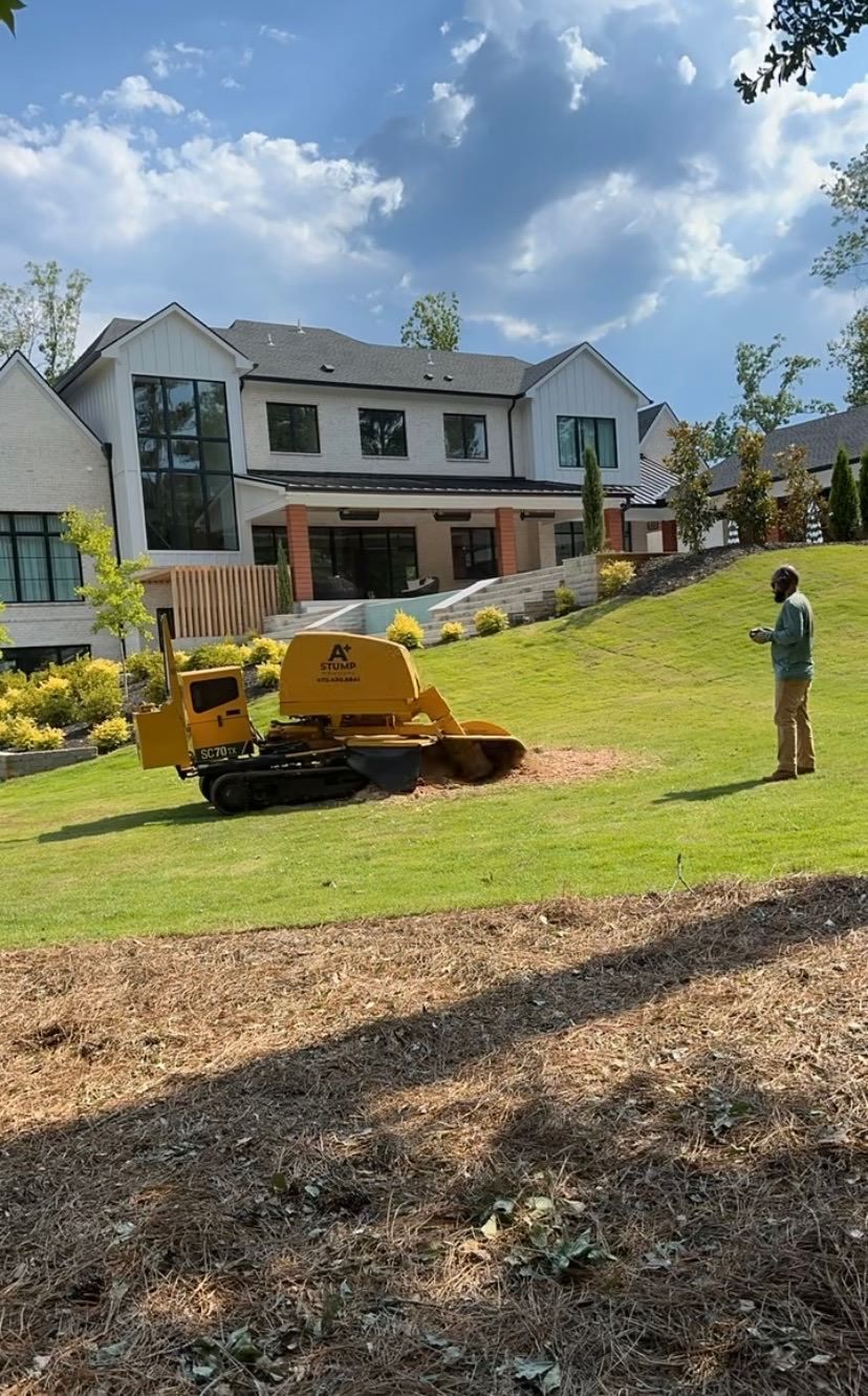 A yellow stump grinder cuts into a tree stump, creating a pile of wood chips in a residential yard.