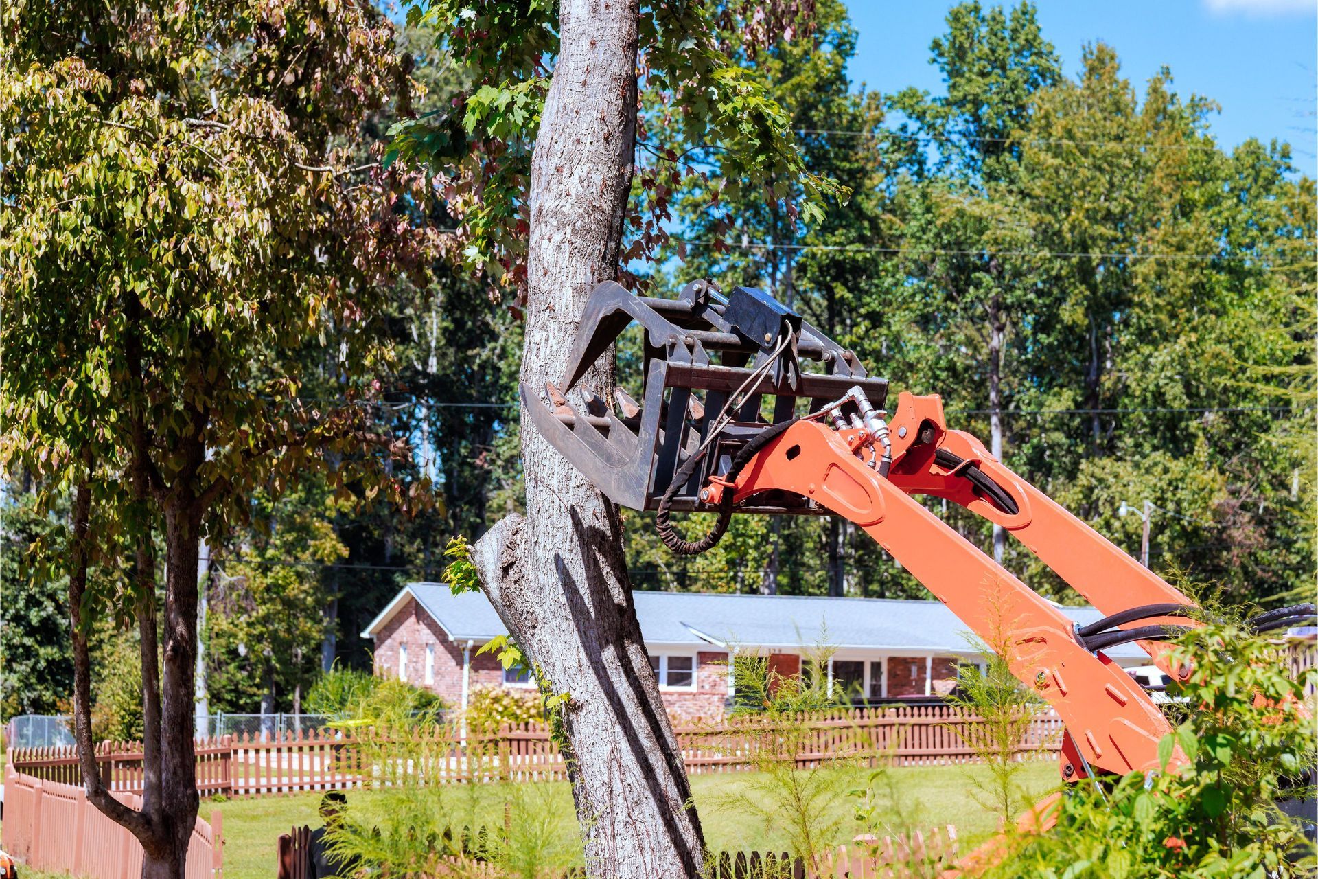 An orange grapple saw attached to a crane grips a tall tree trunk, preparing to cut it in a residential yard.