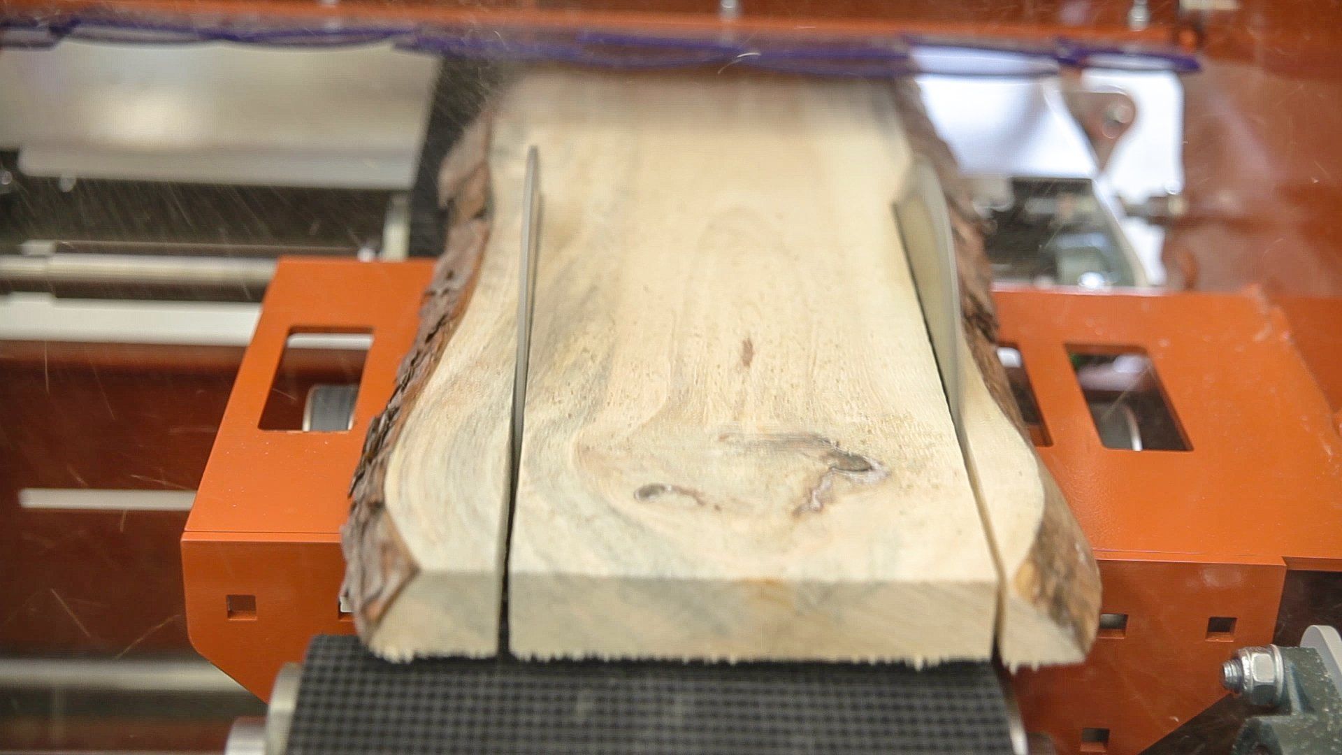 Timbery E100 edger cutting up close