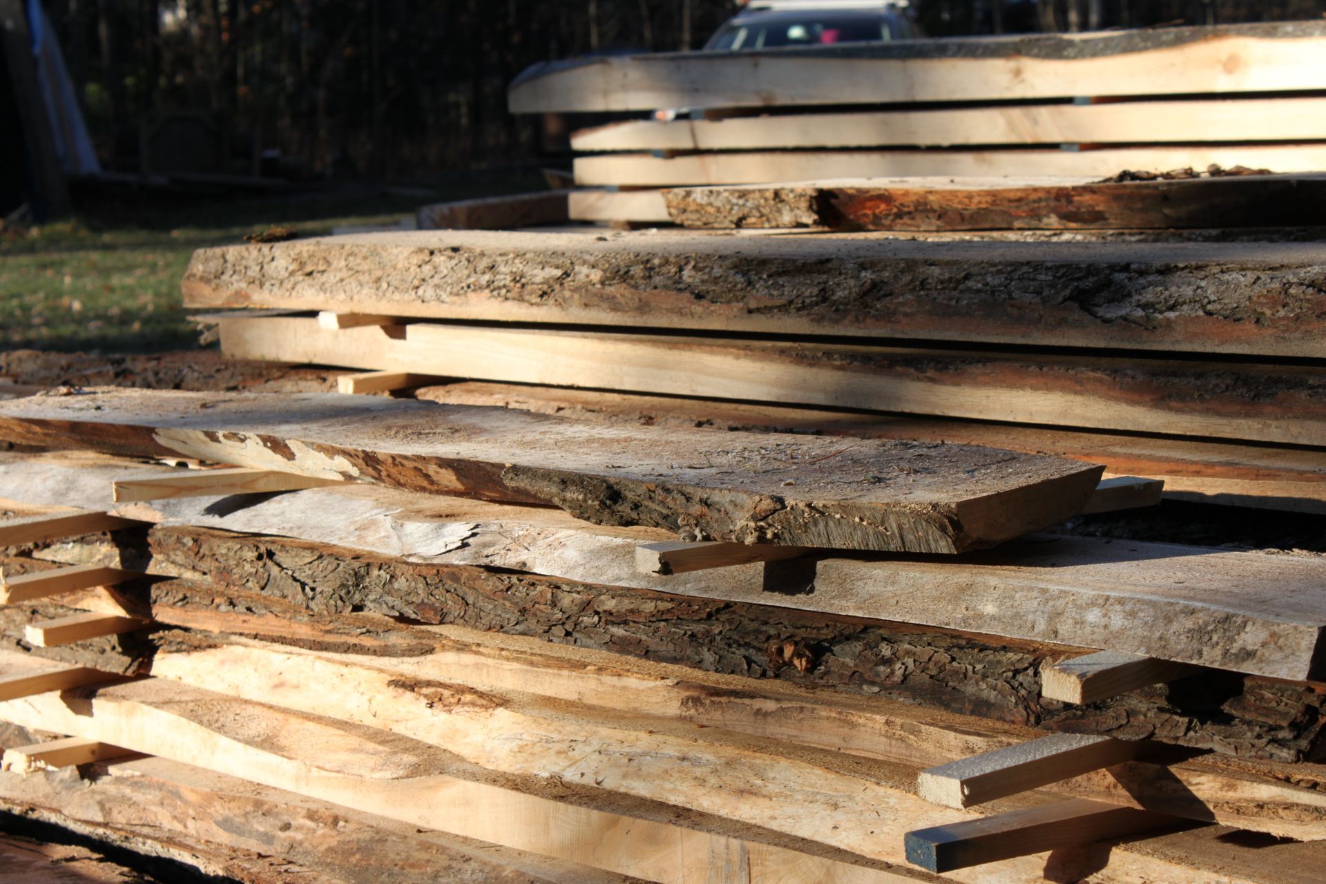 Lumber sawn from M285 sawmill