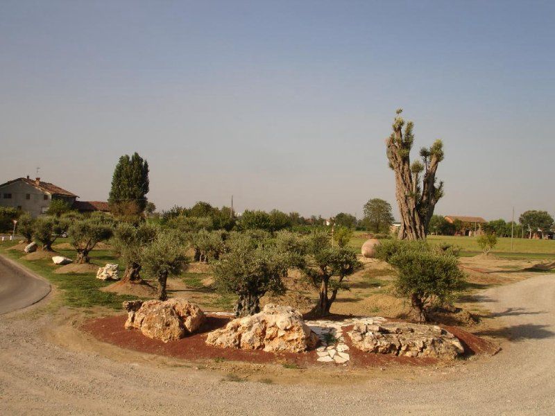 altro esempio di vedutra aerea del vivaio