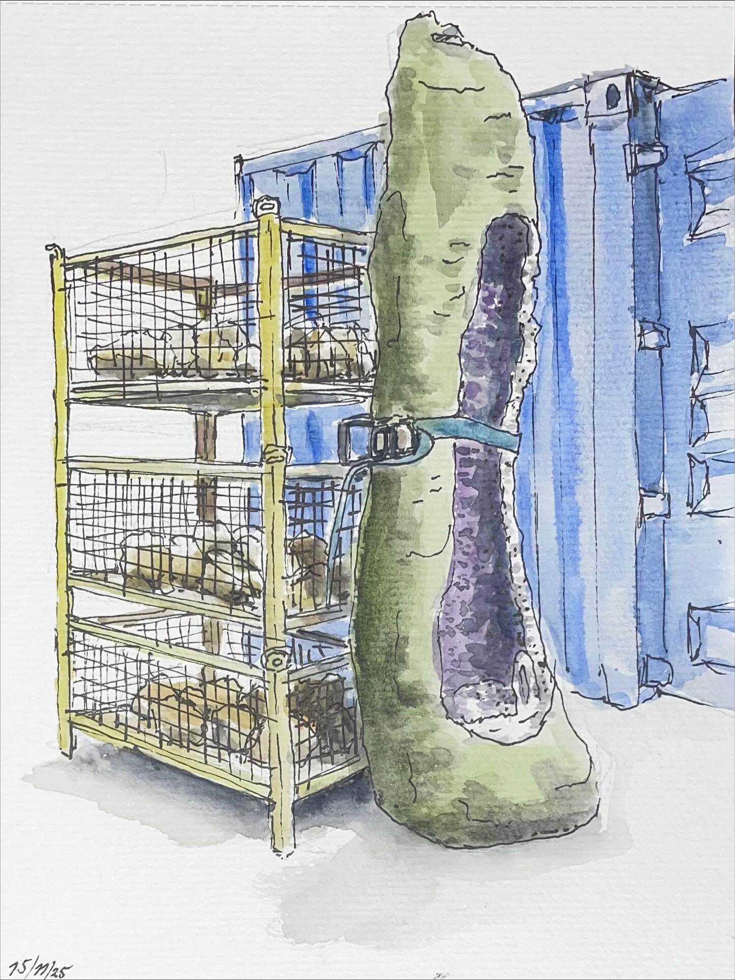 Een groot, groen, gespleten beeld, bevestigd aan een container, naast een draadrek met voorwerpen.