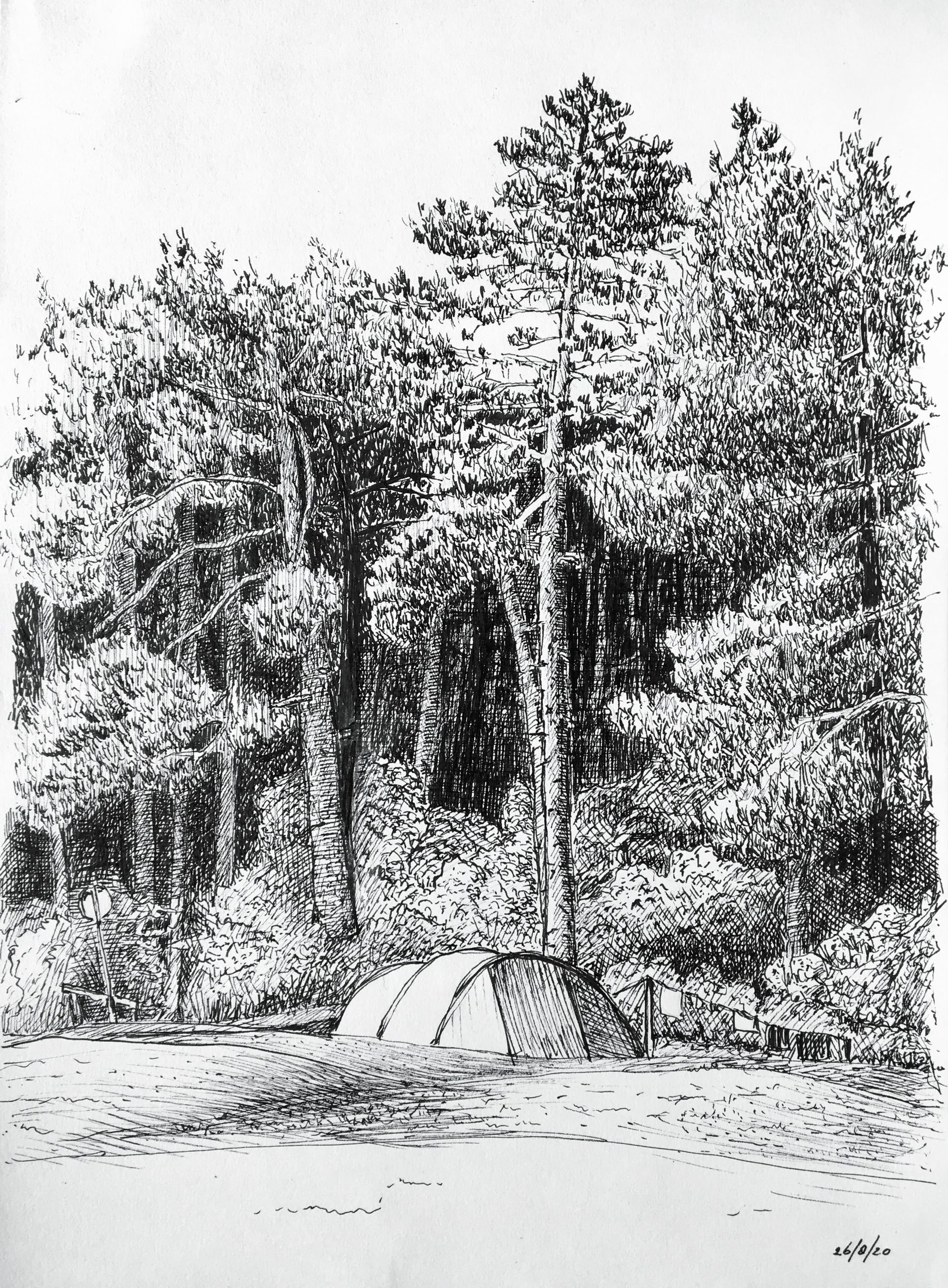 Tent opgezet vlakbij een bos. Hoge bomen omlijsten de tent.