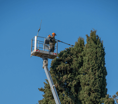 Man trimming tree branches from a lift platform against a blue sky.