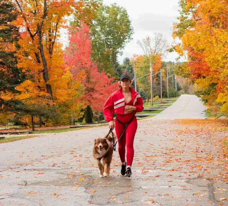 Woman in red jogging suit walks a dog on a road lined with fall foliage.