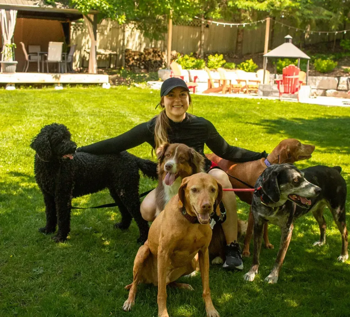 Woman sitting in grass, surrounded by six dogs in a backyard.