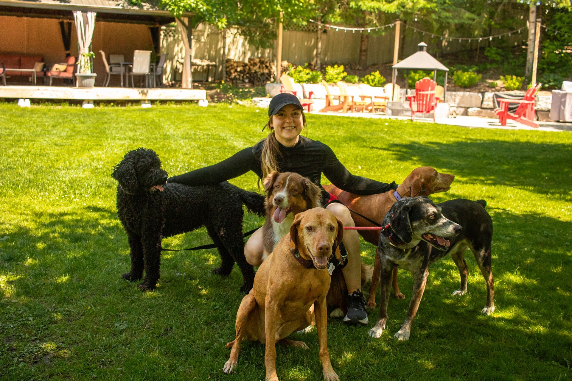 Woman sitting in grass, surrounded by six dogs in a backyard.