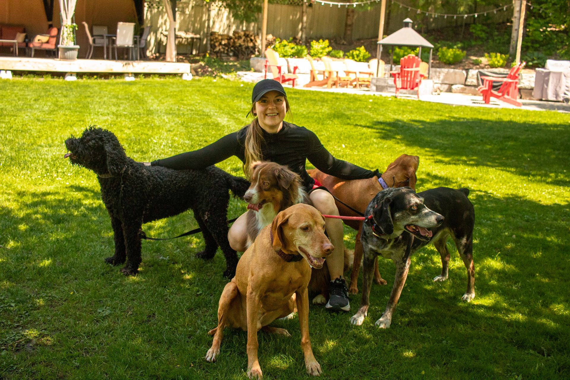 Woman surrounded by six dogs on a grassy lawn. The woman is smiling and wearing a black hat and shirt. Sunny outdoors.