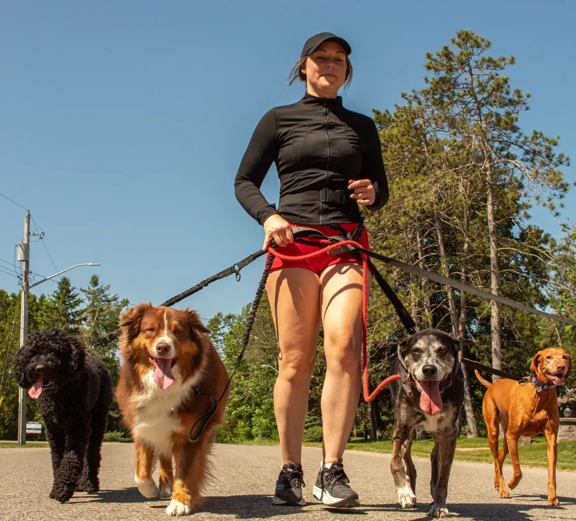 Woman running with four dogs on a paved path on a sunny day.