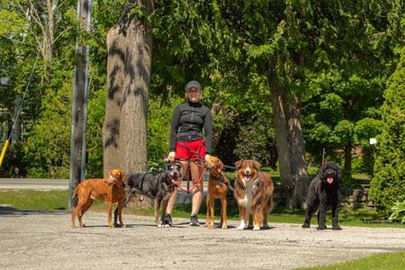 Woman standing with six dogs on a gravel path, surrounded by trees.
