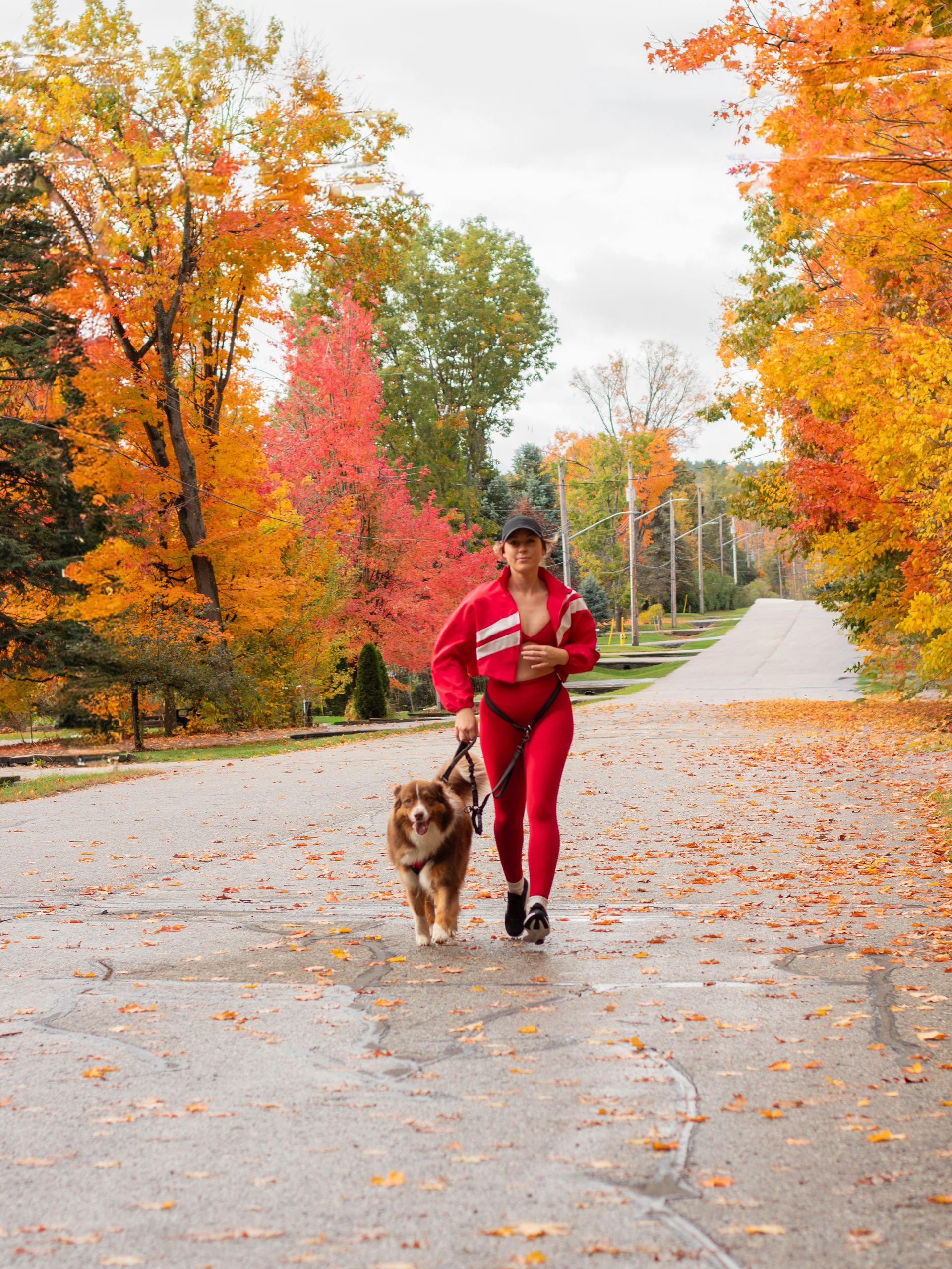 Woman in red jogging suit walks a dog on a road lined with fall foliage.