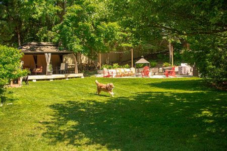 Dog running on green grass toward a patio with a covered seating area in a backyard.