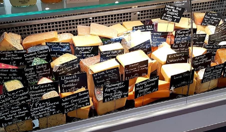 a display case filled with lots of different types of cheese