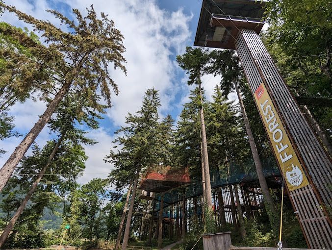 A tree house in the middle of a forest with a tower in the background.