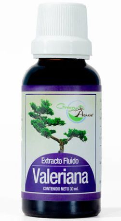 Pastillas para concentracion