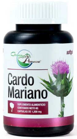 Pastillas para Digestion