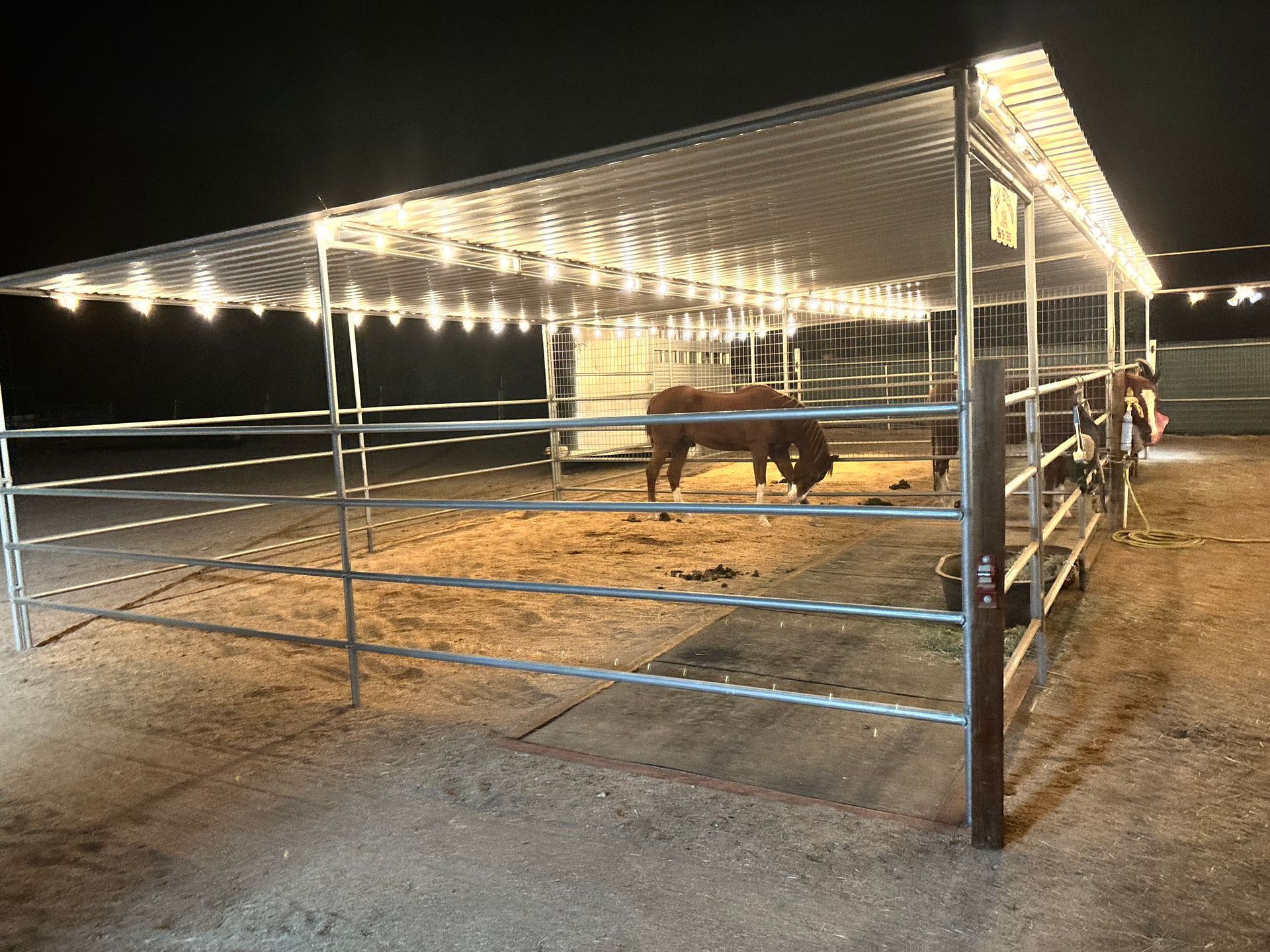 A couple of horses are standing in a fenced in area at night.