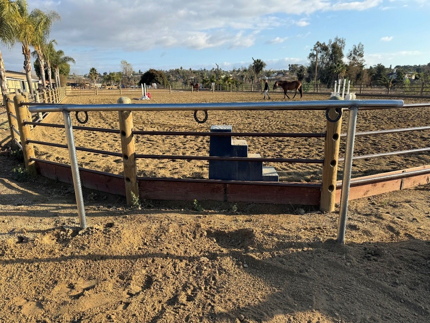 A horse is standing in a dirt field behind a fence.