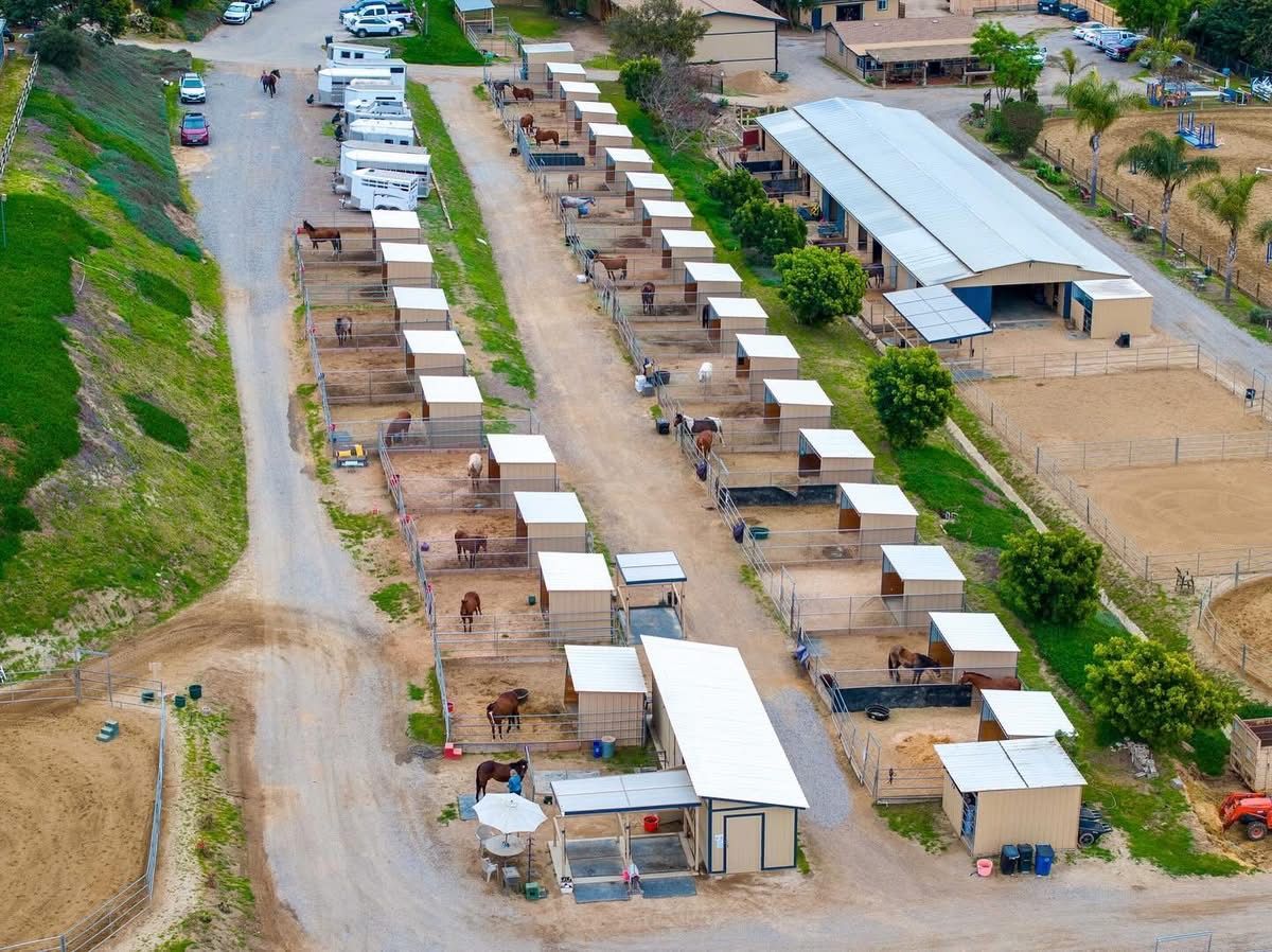 An aerial view of a horse ranch with a lot of horses