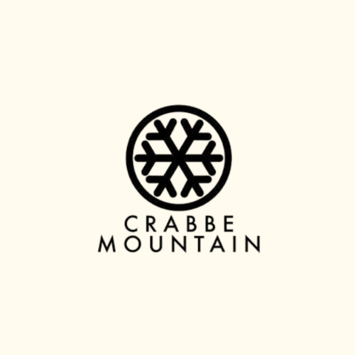 Black snowflake inside a circle, with 