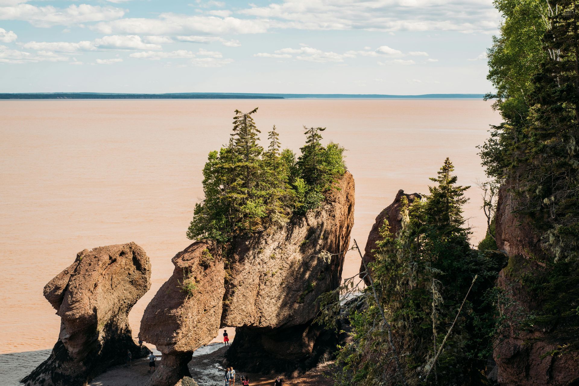 Hopewell Rocks Coastal rocks with trees against a beige-colored sea under a light blue sky.