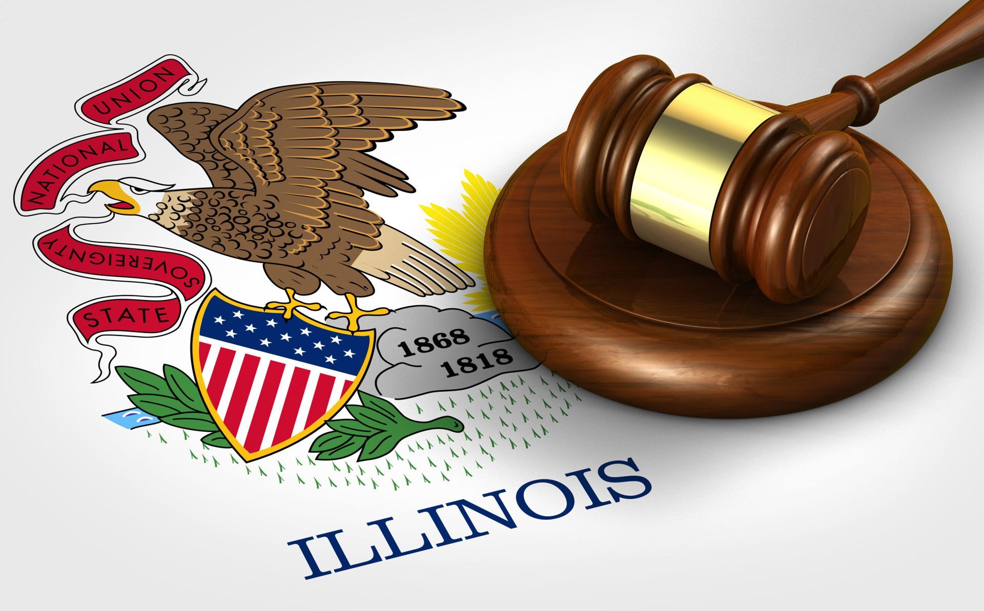 Gavel on a wooden block next to the Illinois state flag.