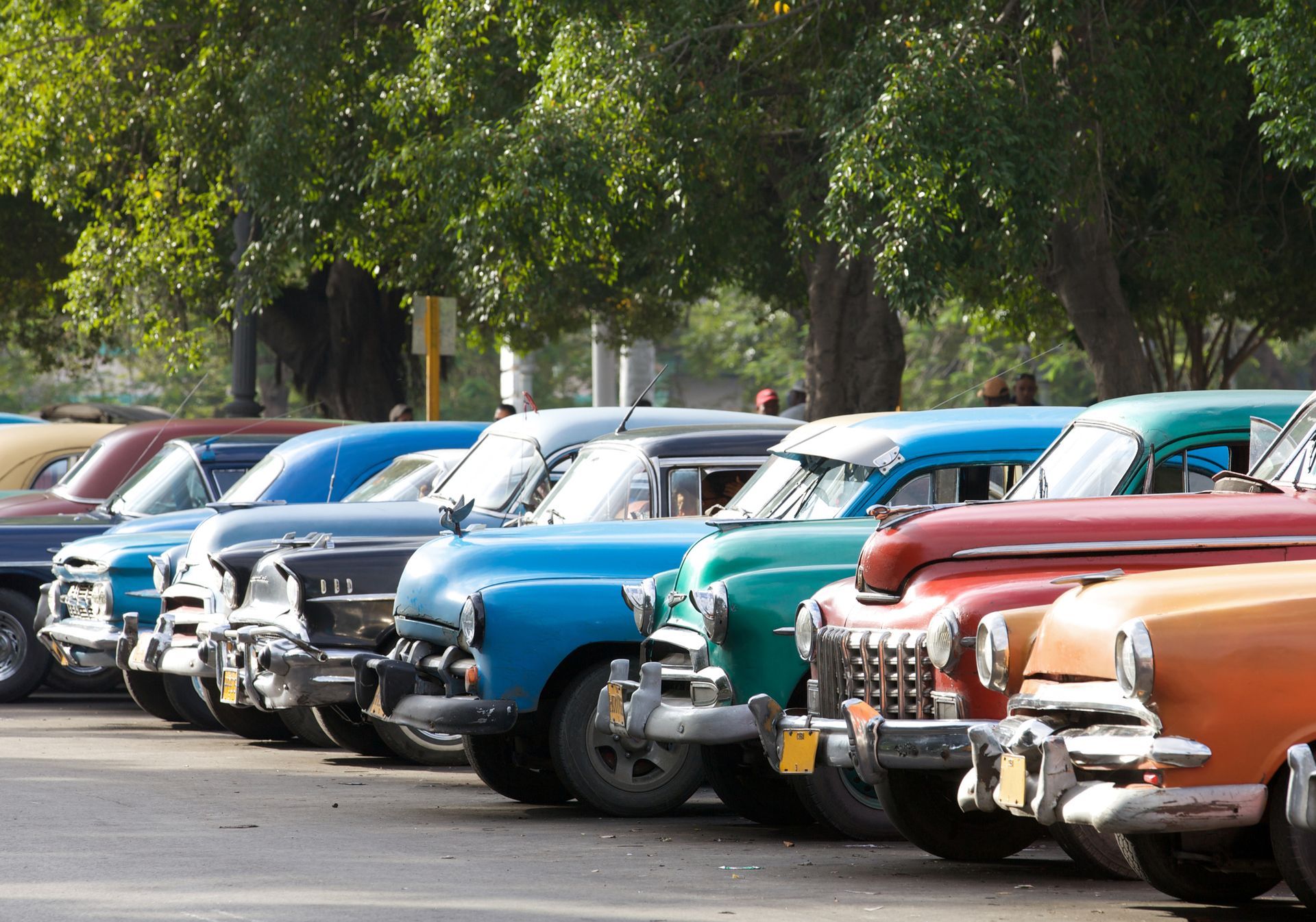 Row of colorful vintage Mercedes Benz cars, resting on a road, with blurry trees in the background.