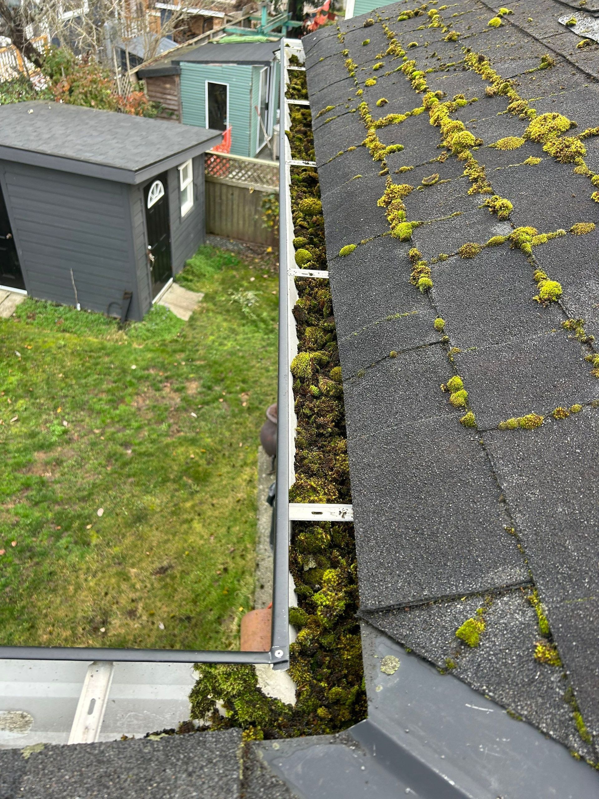 A photo from the roof showing the moss growing on not only the roof, but quite substantially in the gutters before we cleaned them. The after photo is next to this one