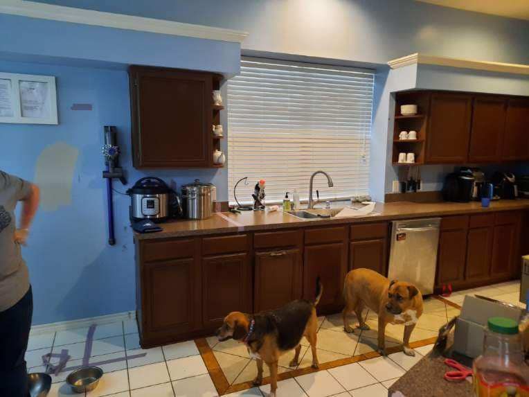 A kitchen with brown cabinets, a stainless steel sink, and two dogs standing on a tiled floor.