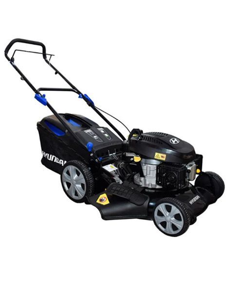 MAQUI RENTA DE JUAREZ