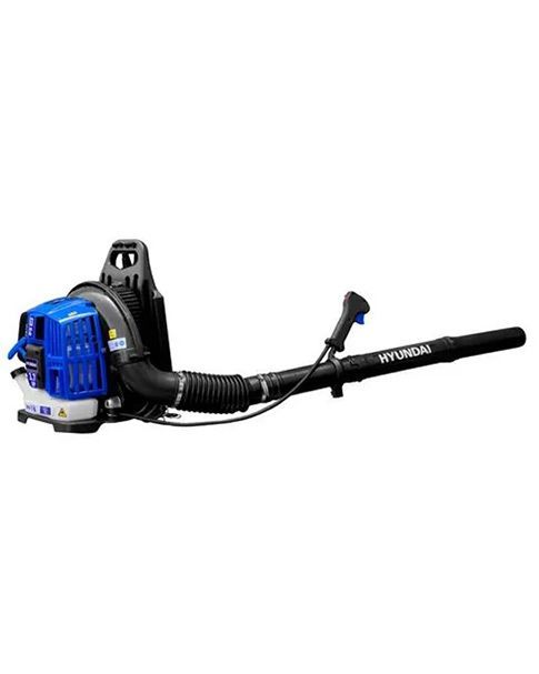 MAQUI RENTA DE JUAREZ