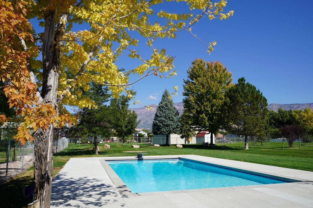 Swimming pool surrounded by green lawn and trees with fall foliage under a clear, blue sky.