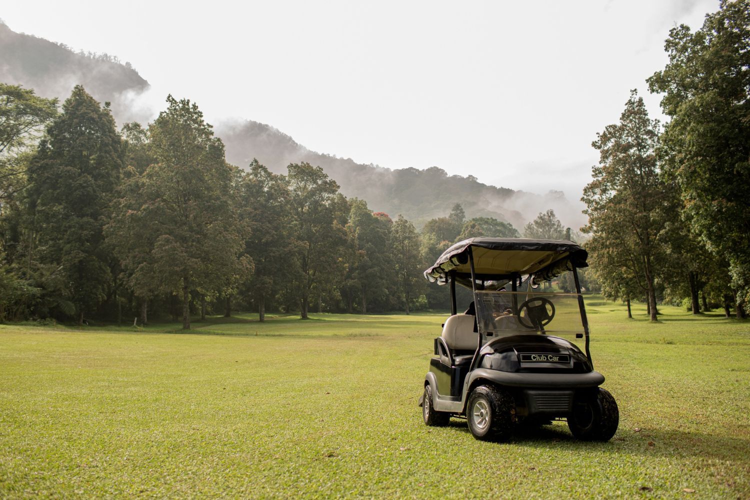 A golf cart is parked in the middle of a grassy field.