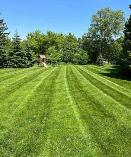A lush green lawn with a playground in the background.
