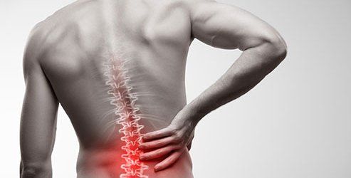 Low Back Pain — Park Orchards, VIC — Wellness on Hopetoun
