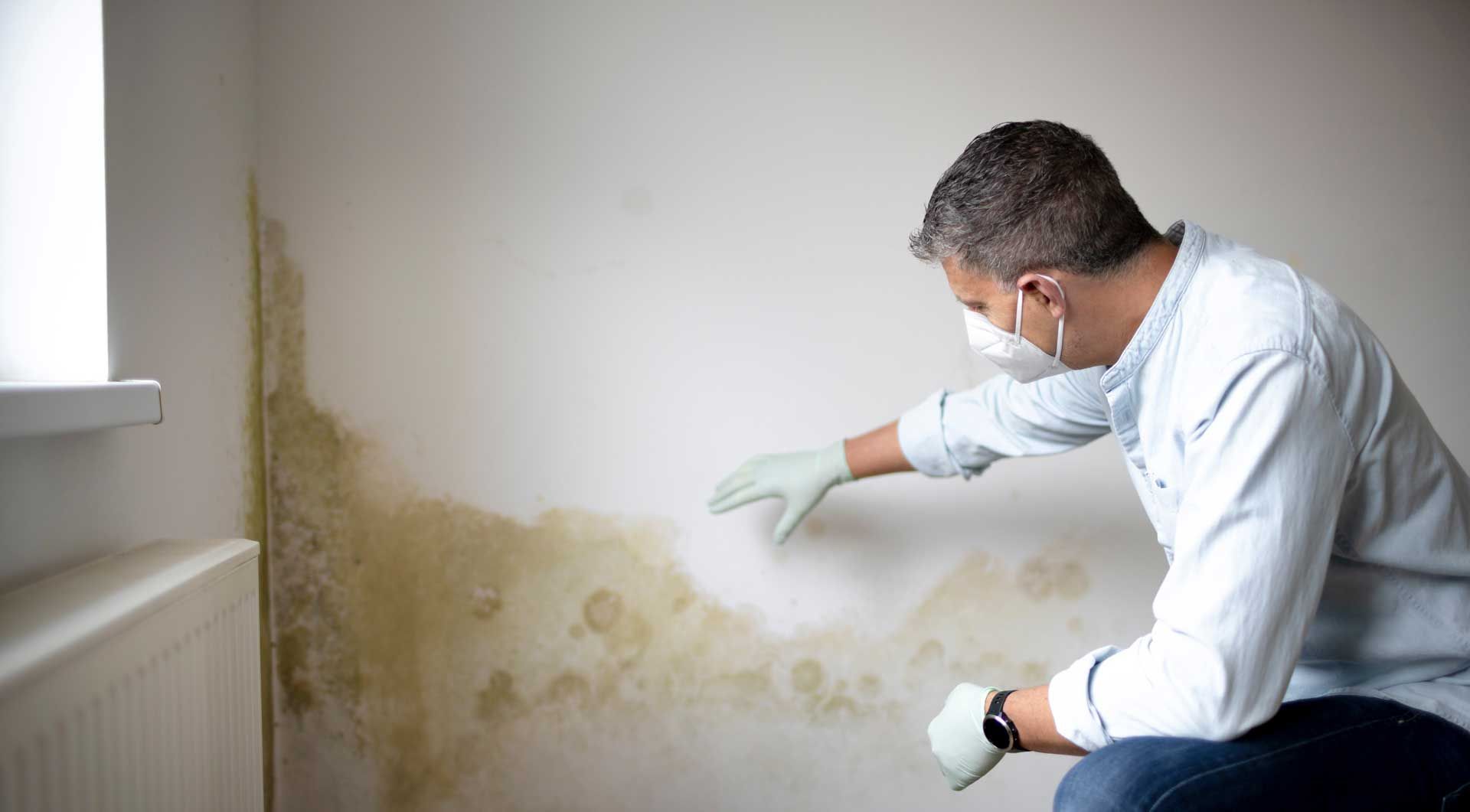 Man inspecting mold on a white wall, wearing gloves and a mask in a room with a radiator. Man inspecting mold on a white wall, wearing gloves and a mask in a room with a radiator.