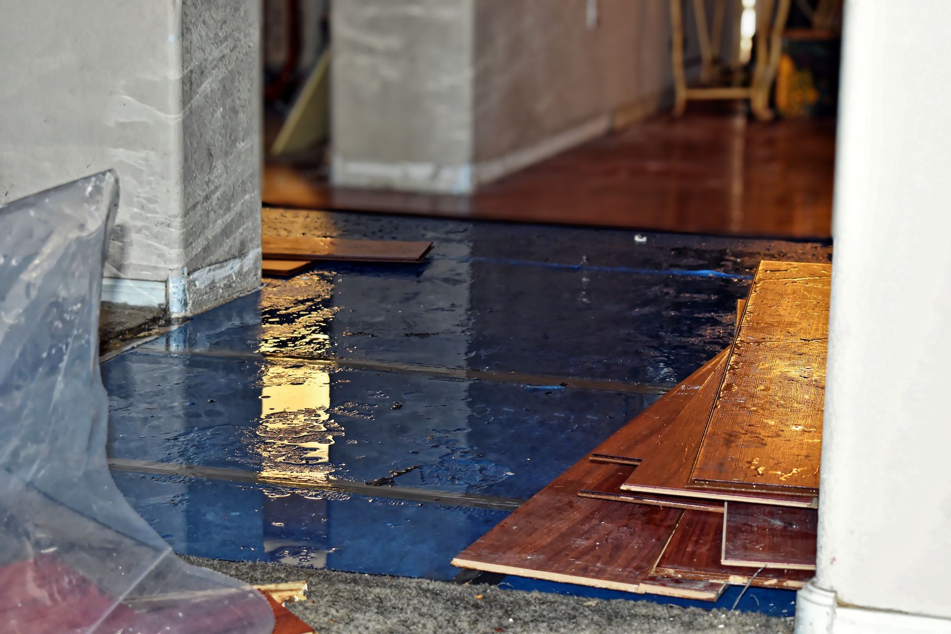 Water pooling on a damaged floor with removed planks inside a home after a leak.