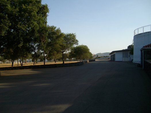 cortile azienda commercio pulcini