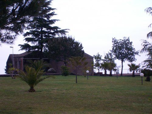 casolare azienda commercio pulcini