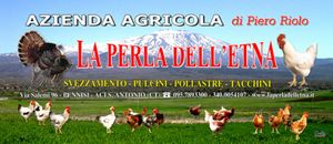 Azienda Agricola La Perla dell'Etna eredi di Riolo Pietro - LOGO