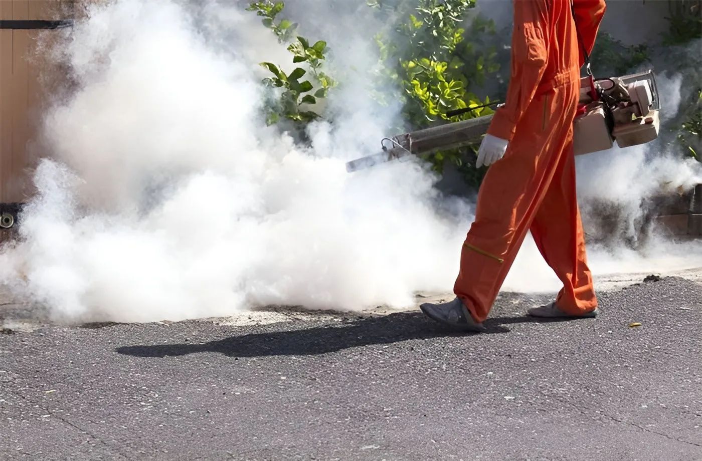 CONTROL DE PLAGAS URBANAS DE NAYARIT