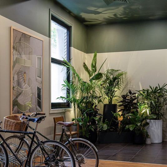 Two Bicycles Near Window With Plants in a Room With a Painting — GV painting in Shepparton, VIC