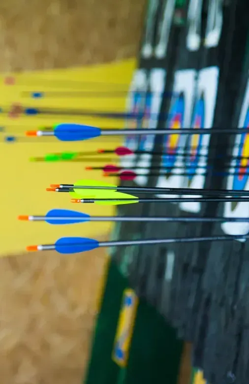 A row of archery arrows are hitting a target.