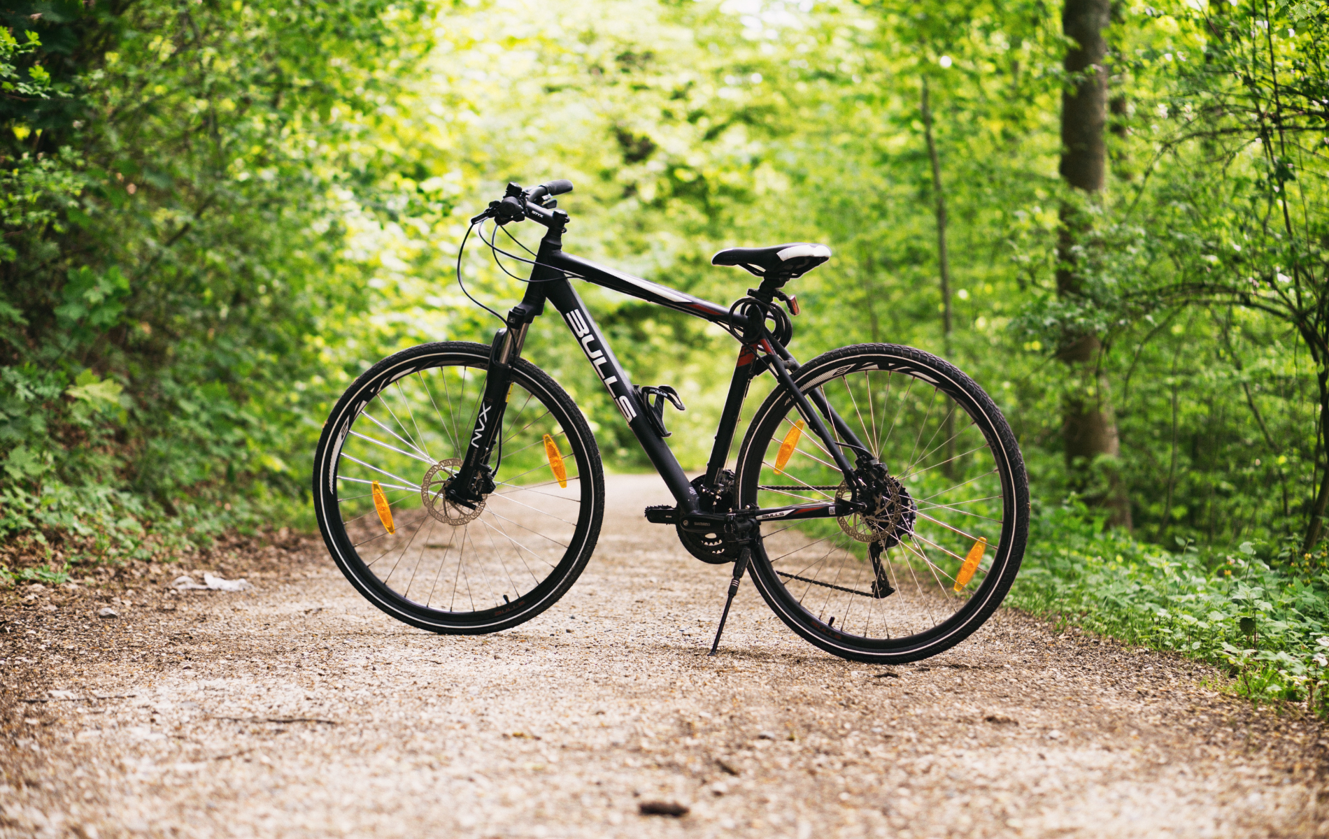 A bicycle is parked on a dirt road in the woods.