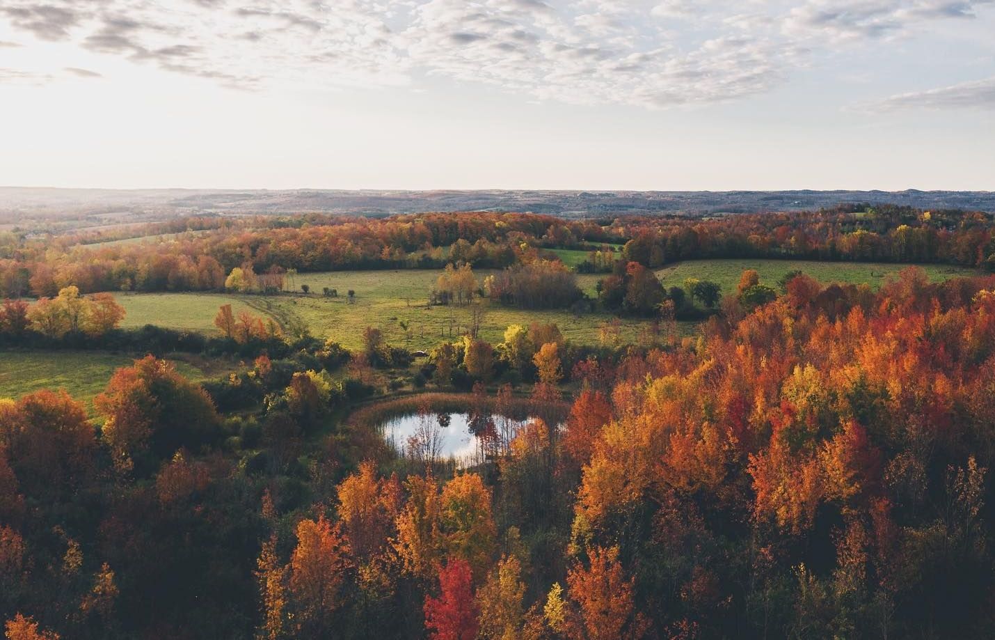 An aerial view of a forest with a pond in the middle of it.