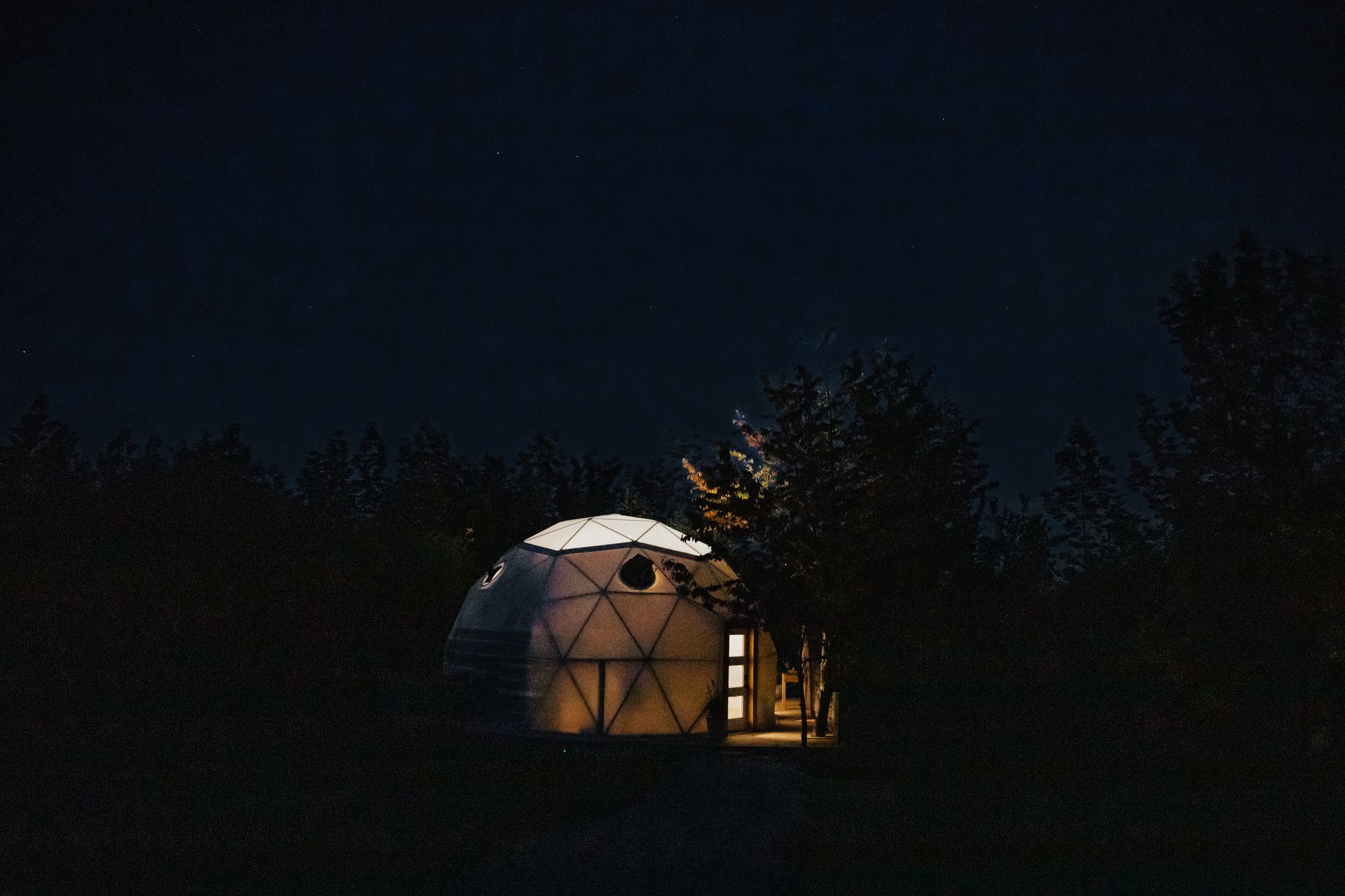 A dome is lit up at night in the middle of a forest.