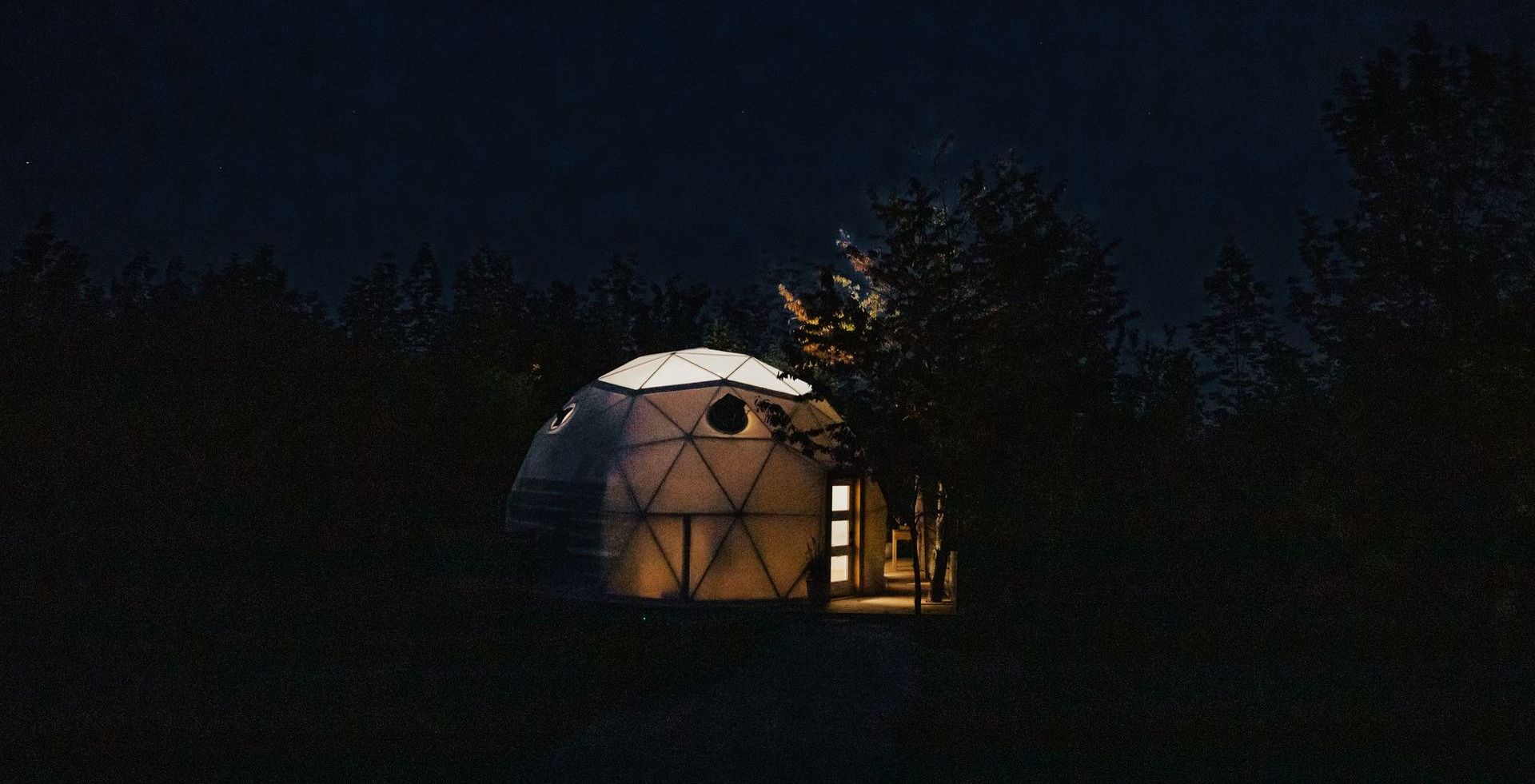 A dome is lit up at night in the middle of a forest.