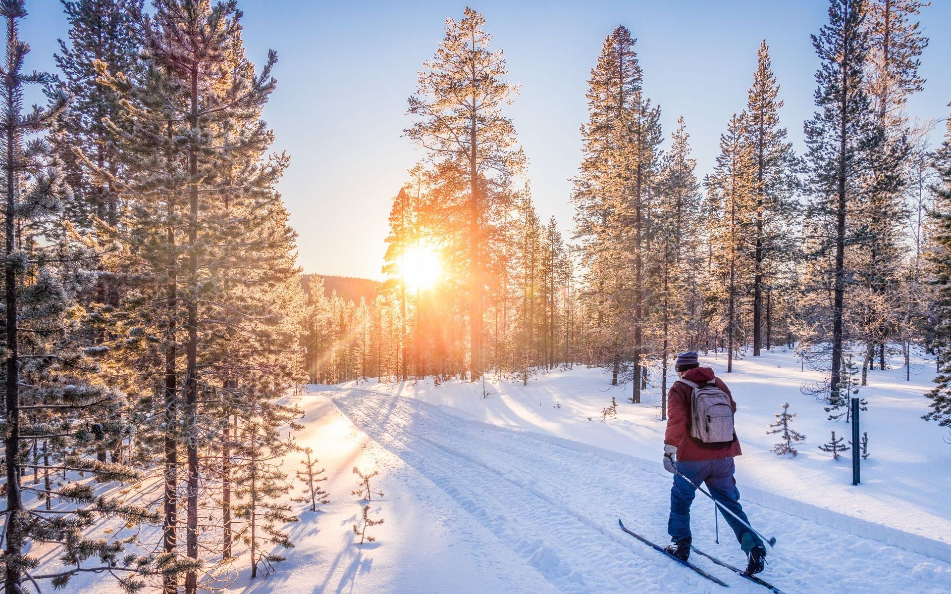 A man is skiing down a snow covered path in the woods.